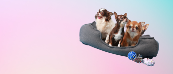MallNX product and shopping visual