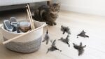 Feather Cat Toy Replacement Heads Lifestyle ecommerce image